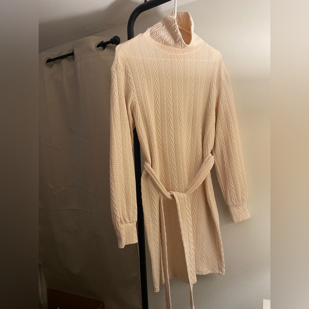 Cream Turtleneck Dress